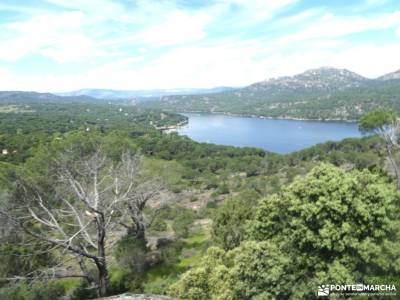 Miradores del Embalse de San Juan_Cerro San Esteban; bosque animado de oma cañon del cares senderism
